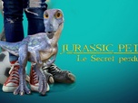 Replay Jurassic Pet 2 : Le secret perdu