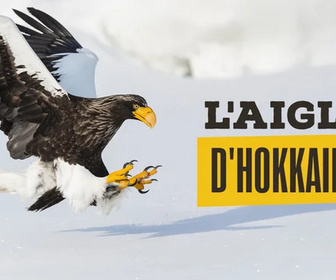 Replay 13h15, le samedi - , le samedi