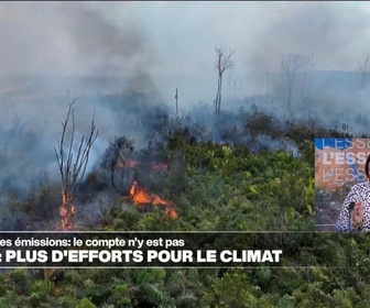 Replay Élément Terre - Baisse des émissions de gaz à effet de serre : le Brésil présente son plan et relève ses ambitions