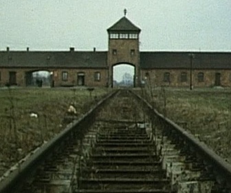 Replay Shoah (1/2)