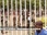 Replay Journal De L'afrique
