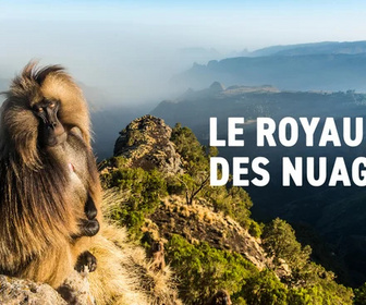 Replay Le royaume des nuages