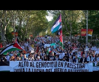 Replay L'Espagne organise une grève nationale en solidarité avec les Palestiniens