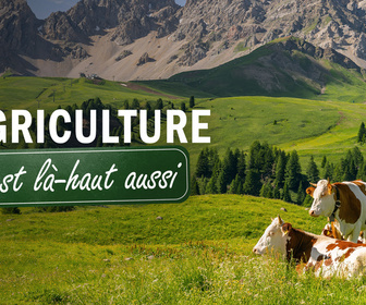 Replay L'agriculture, c'est là-haut aussi