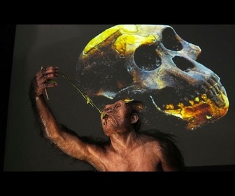 Replay Les fossiles de Lucy et Selam exposés en Europe pour la première fois