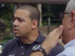 Replay Au cœur du zoo de New York - S3E6 - Le grand gaur