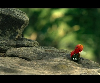 Replay Minuscule : la vallée des fourmis perdues