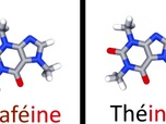 Replay e=m6 - Beurre ou huile, thé ou café, viande rouge ou blanche : 3 matchs arbitrés par la science !