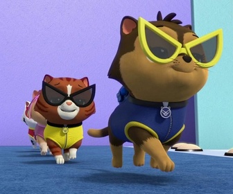 Replay S00 E20 - Compilation Paw Patrol, la Pat'Patrouille 20
