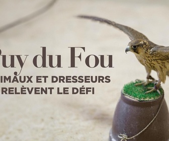 Replay Puy du Fou : animaux et dresseurs relèvent le défi