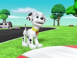 Replay Paw Patrol, la Pat'Patrouille - L'aigle à la patte ficelée