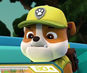 Replay Paw Patrol, la Pat'Patrouille - Les éléphants apeurés