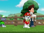 Replay Paw Patrol, la Pat'Patrouille - Un costume sur mesure