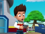 Replay Paw Patrol, la Pat'Patrouille - Les tulipes