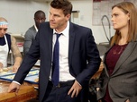 Replay Bones - S10 E13 - Le crime dans la peau