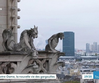 Replay Les dossiers d'ICI - Notre-Dame, la nouvelle vie des gargouilles