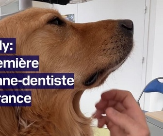 Replay TANGUY DE BFM - Scully, la première chienne-dentiste de France