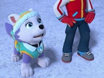 Replay Paw Patrol, la Pat'Patrouille - L'inauguration de la serre