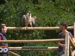 Replay Une saison au zoo - S14 E30