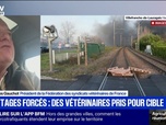 Replay Apolline de 9 à 10 - Abattages de bovins: On a perdu le crédit du discours scientifique, déclare le président de la fédération des syndicats vétérinaires de France