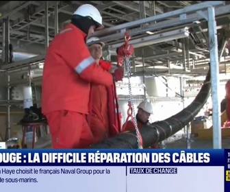 Replay Good Morning Business - Mer Rouge: la difficile réparation des câbles