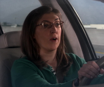 Replay The Big Bang Theory - S9E24 - Convergence, confluence, méfiance