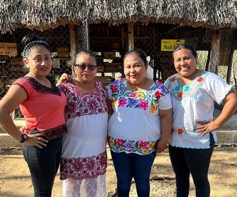 Replay À regarder en famille - Yucatan, les gardiennes des abeilles sacrées