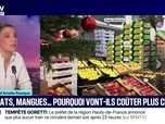 Replay 20H BFM - LE CHOIX D'AMÉLIE - Avocats, mangues... Le gouvernement suspend l'importation de fruits et légumes traités avec des pesticides interdits