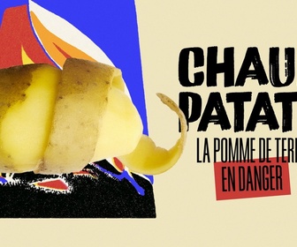 Replay Chaud patate ! La pomme de terre en danger