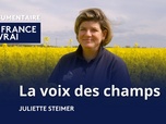 Replay La France en Vrai - Pays de la Loire - Documentaire. La voix des champs