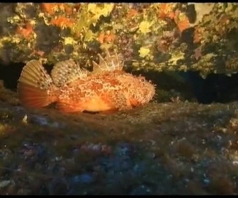 Replay Histoires d'îles - Corse éternelle