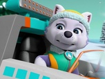 Replay Paw Patrol, la Pat'Patrouille - La Pat' Patrouille sauve un coucou