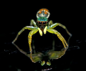 Replay La vie en fluo