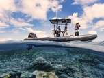 Replay Les tortues de l'île de Raine - Les sentinelles de la Grande Barrière de corail