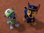 Replay Paw Patrol, la Pat'Patrouille - Les aventurières du désert