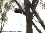Replay Un jour, un doc week-end - Ils vivent au camping toute l'année !