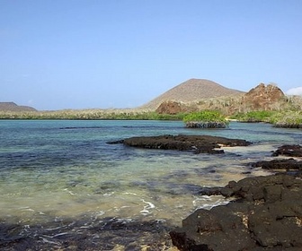 Replay Galapagos - Invitation au voyage