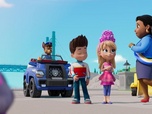Replay Paw Patrol, la Pat'Patrouille - La grande parade des jumeaux