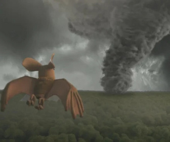 Replay Les as de la jungle à la rescousse - L'oeil du cyclone