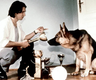 Replay Rex, chien flic - 14/07/2026