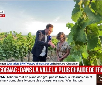 Replay BFM Première - Canicule: 43 degrés à Cognac, inquiétude pour les vignes qui subissent la chaleur