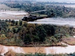 Replay La guerre : 1963-1968 - Vietnam, la naissance d'une nation (3/4)