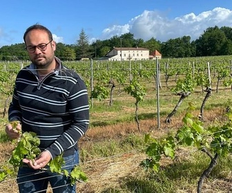 Replay Crise chez les vignerons bordelais - ARTE Regards