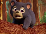 Replay Paw Patrol, la Pat'Patrouille - Sur la route avec Stella : Le Parc de l'Os dOr