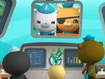 Replay Les Octonauts et les baleines à bosse