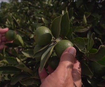 Replay Focus - L'Espagne, championne du recyclage des eaux usées