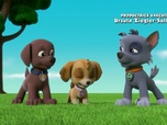 Replay Paw Patrol, la Pat'Patrouille - La Pat'Patrouille et le martien de l'Antarctique