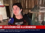 Replay BFM Première - Gironde: le secteur agricole souffre de la sécheresse