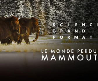 Replay Science grand format - Le monde perdu des mammouths