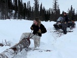 Replay Seuls face à l'Alaska - S13E7 - Plongée dans l'inconnu